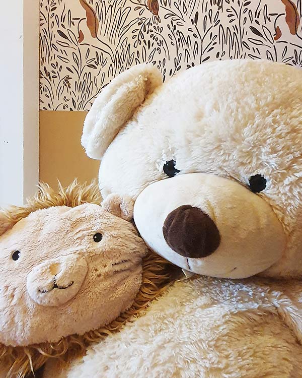 ours en peluche et coussin